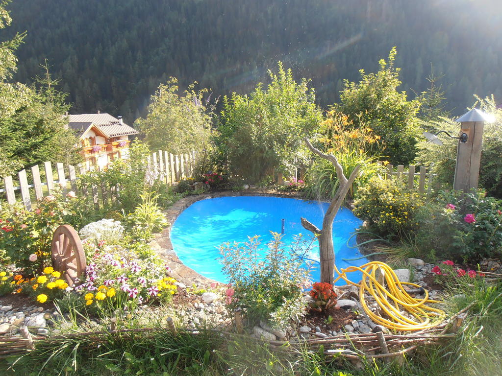 Baita Scaia Bed and Breakfast Cogolo Exteriör bild
