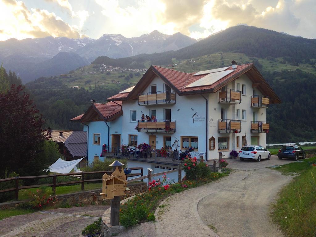 Baita Scaia Bed and Breakfast Cogolo Exteriör bild